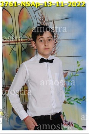 3761-NSAp-13-11-2022