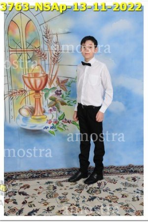 3763-NSAp-13-11-2022