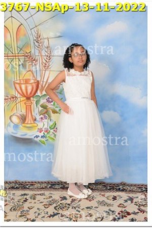 3767-NSAp-13-11-2022