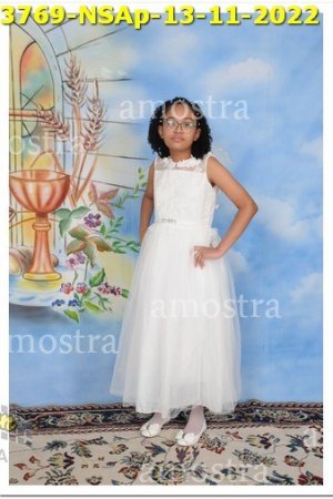 3769-NSAp-13-11-2022