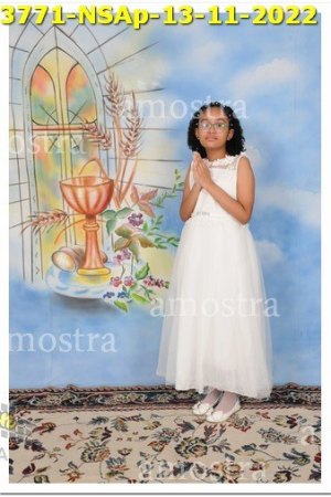 3771-NSAp-13-11-2022