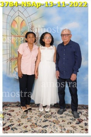 3784-NSAp-13-11-2022