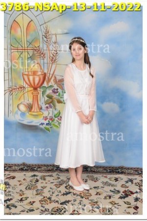 3786-NSAp-13-11-2022