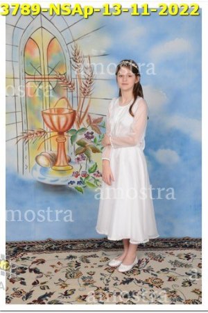 3789-NSAp-13-11-2022