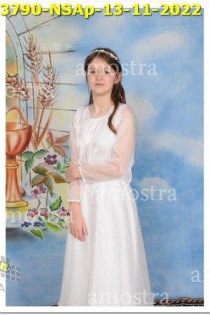 3790-NSAp-13-11-2022