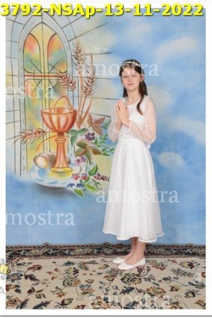 3792-NSAp-13-11-2022