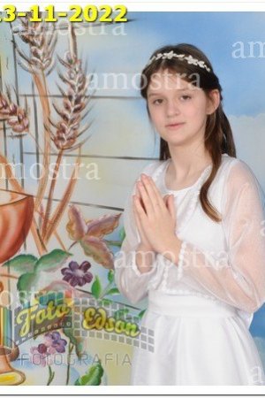 3793-NSAp-13-11-2022