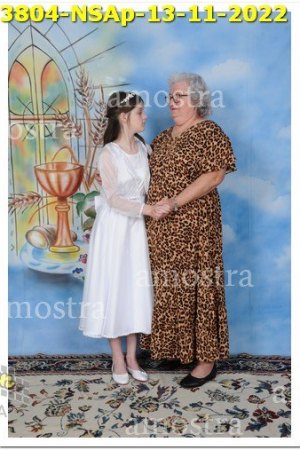 3804-NSAp-13-11-2022