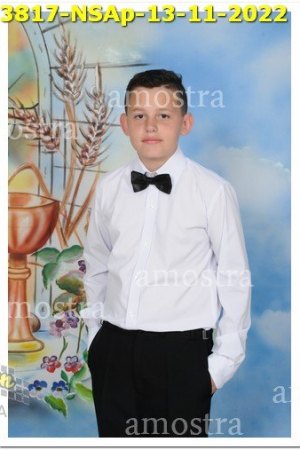 3817-NSAp-13-11-2022