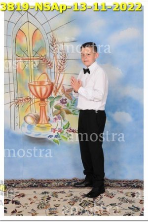 3819-NSAp-13-11-2022