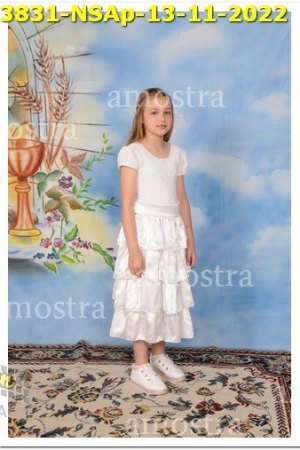 3831-NSAp-13-11-2022