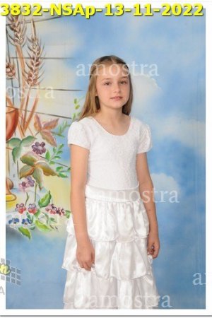 3832-NSAp-13-11-2022