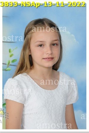 3833-NSAp-13-11-2022