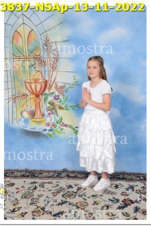 3837-NSAp-13-11-2022