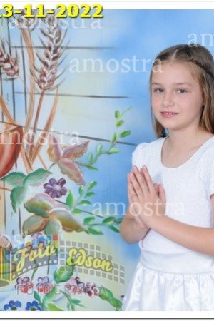 3838-NSAp-13-11-2022