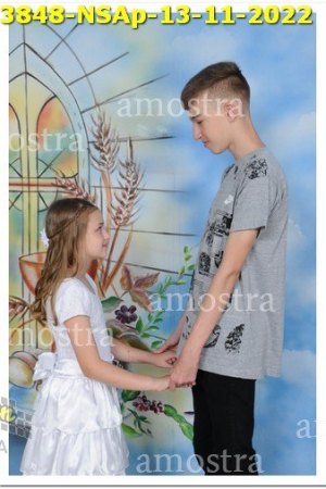 3848-NSAp-13-11-2022