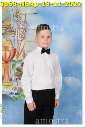 3858-NSAp-13-11-2022