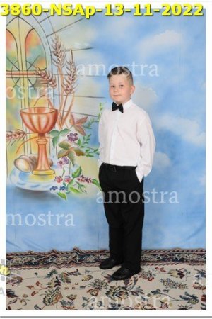 3860-NSAp-13-11-2022