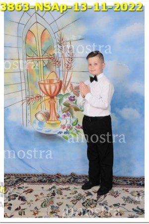 3863-NSAp-13-11-2022