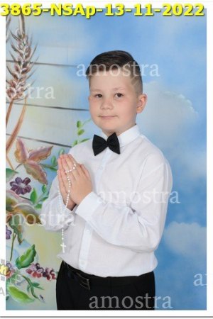 3865-NSAp-13-11-2022