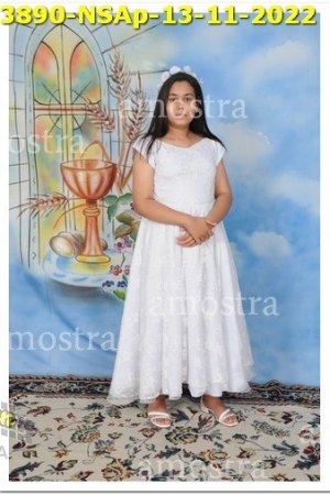 3890-NSAp-13-11-2022