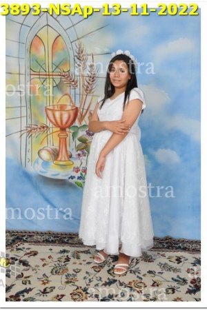 3893-NSAp-13-11-2022