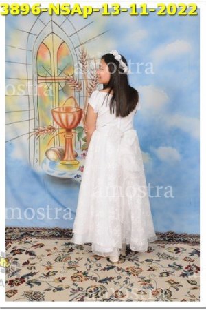 3896-NSAp-13-11-2022