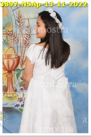 3897-NSAp-13-11-2022