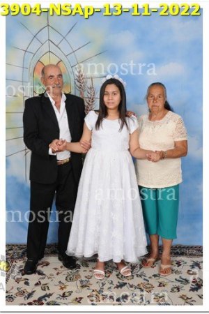 3904-NSAp-13-11-2022