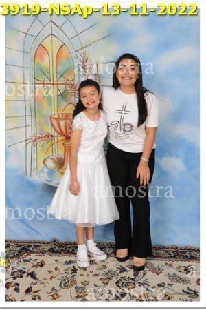 3919-NSAp-13-11-2022