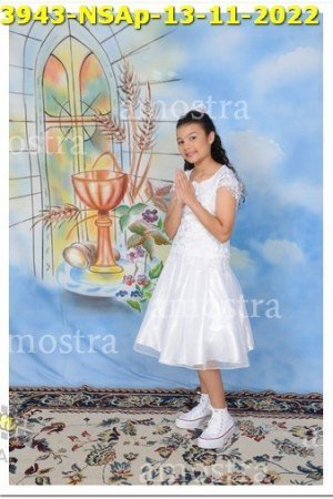 3943-NSAp-13-11-2022