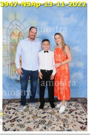 3947-NSAp-13-11-2022