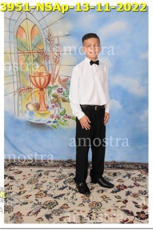 3951-NSAp-13-11-2022