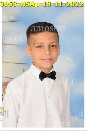 3953-NSAp-13-11-2022