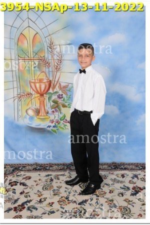 3954-NSAp-13-11-2022