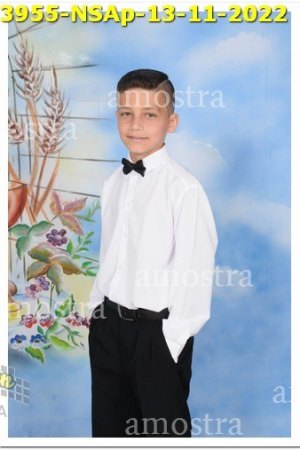 3955-NSAp-13-11-2022