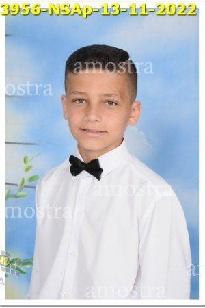 3956-NSAp-13-11-2022