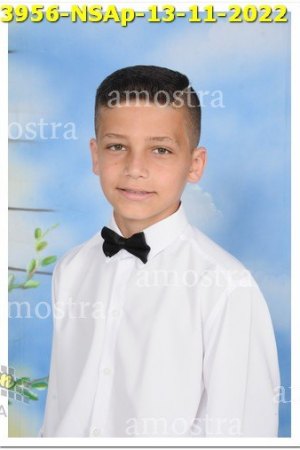 3956-NSAp-13-11-2022