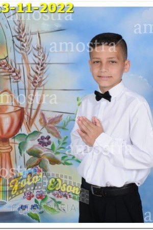 3958-NSAp-13-11-2022