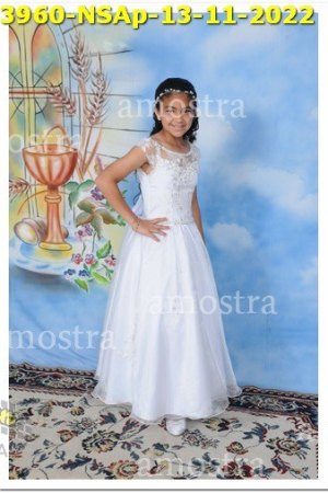 3960-NSAp-13-11-2022