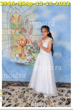 3966-NSAp-13-11-2022