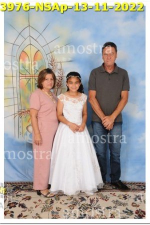 3976-NSAp-13-11-2022