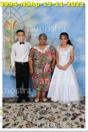 3994-NSAp-13-11-2022