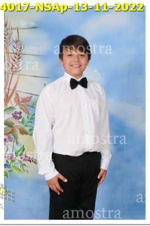 4017-NSAp-13-11-2022