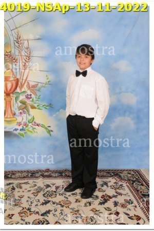 4019-NSAp-13-11-2022