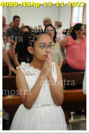 4088-NSAp-13-11-2022