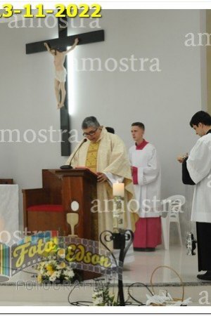 4099-NSAp-13-11-2022