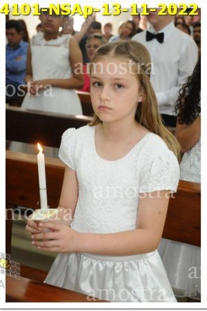 4101-NSAp-13-11-2022