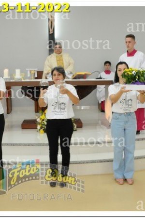 4123-NSAp-13-11-2022