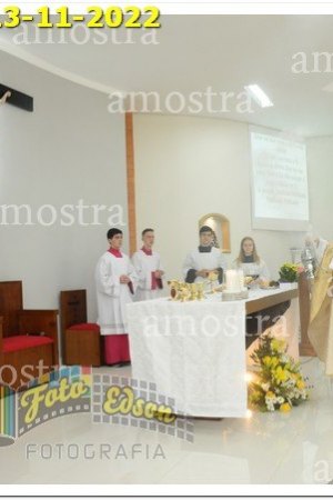 4137-NSAp-13-11-2022